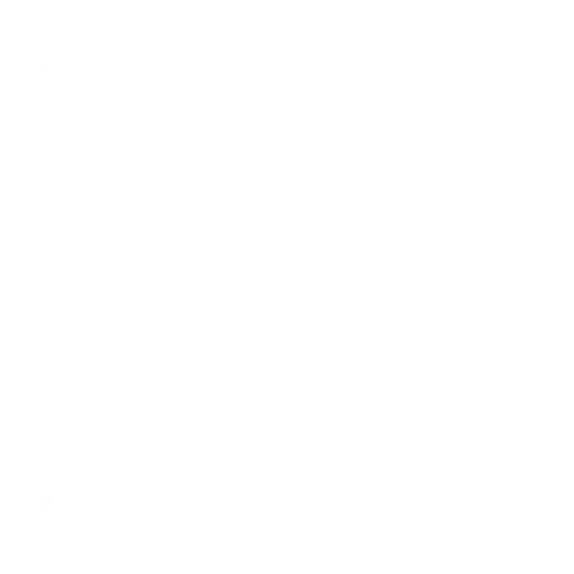 Cavaletti